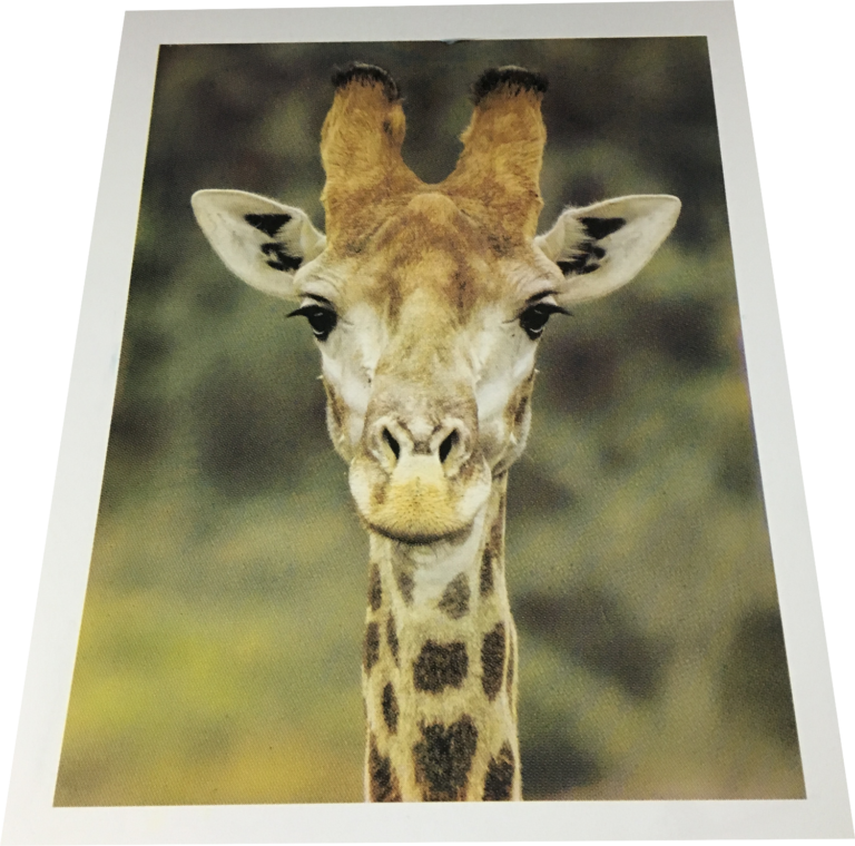 Eine beschichtete Metallplatte bedruckt mit einer Giraffe.